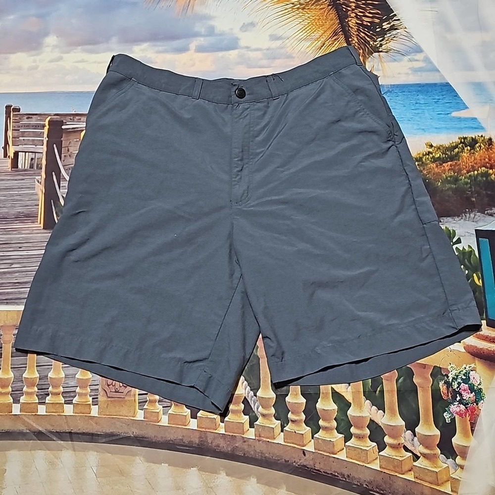 Patagonia Shorts Size 38